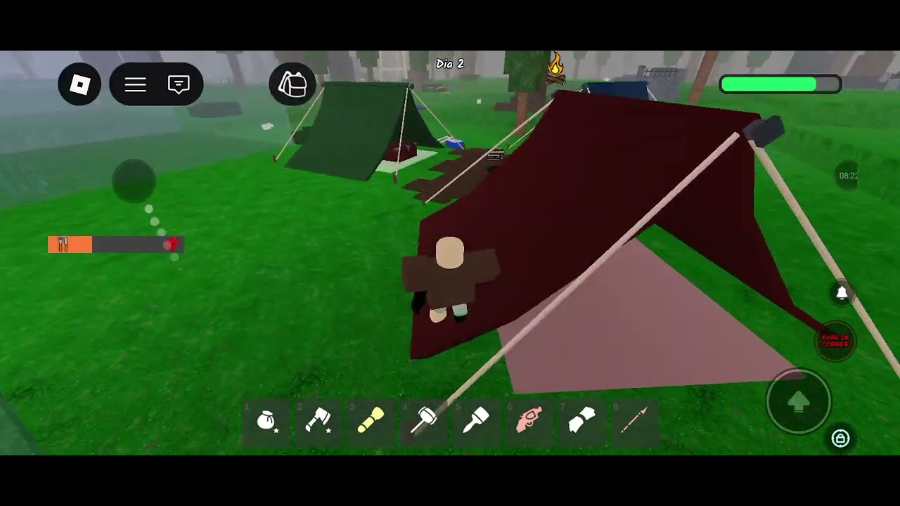 13 de fevereiro de 2026