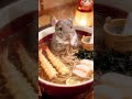 画像一枚で年越しそば🐹#aiテンプレート