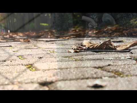 秋日　オルゴールver　日足NSP