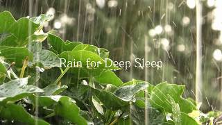 12 Hours Deep Sleep Music for Insomnia Relief | Calming Winter Window Glow & Relaxing AI Melodies