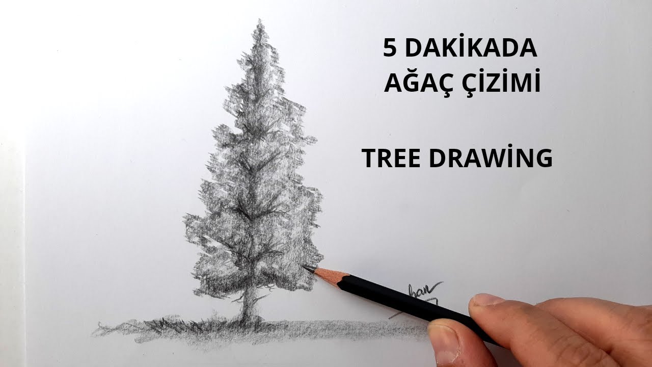 Agaç Nasıl Çizilir - How to Draw Tree - YouTube
