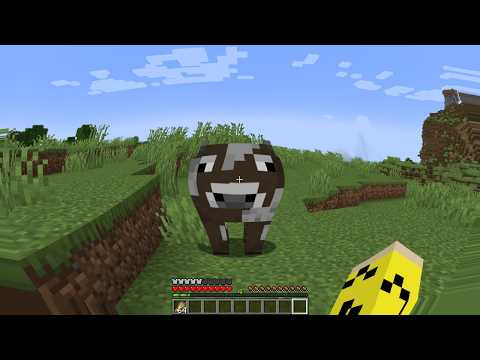 I Tried Beating MINECRAFT with the WORST Shader Possible
