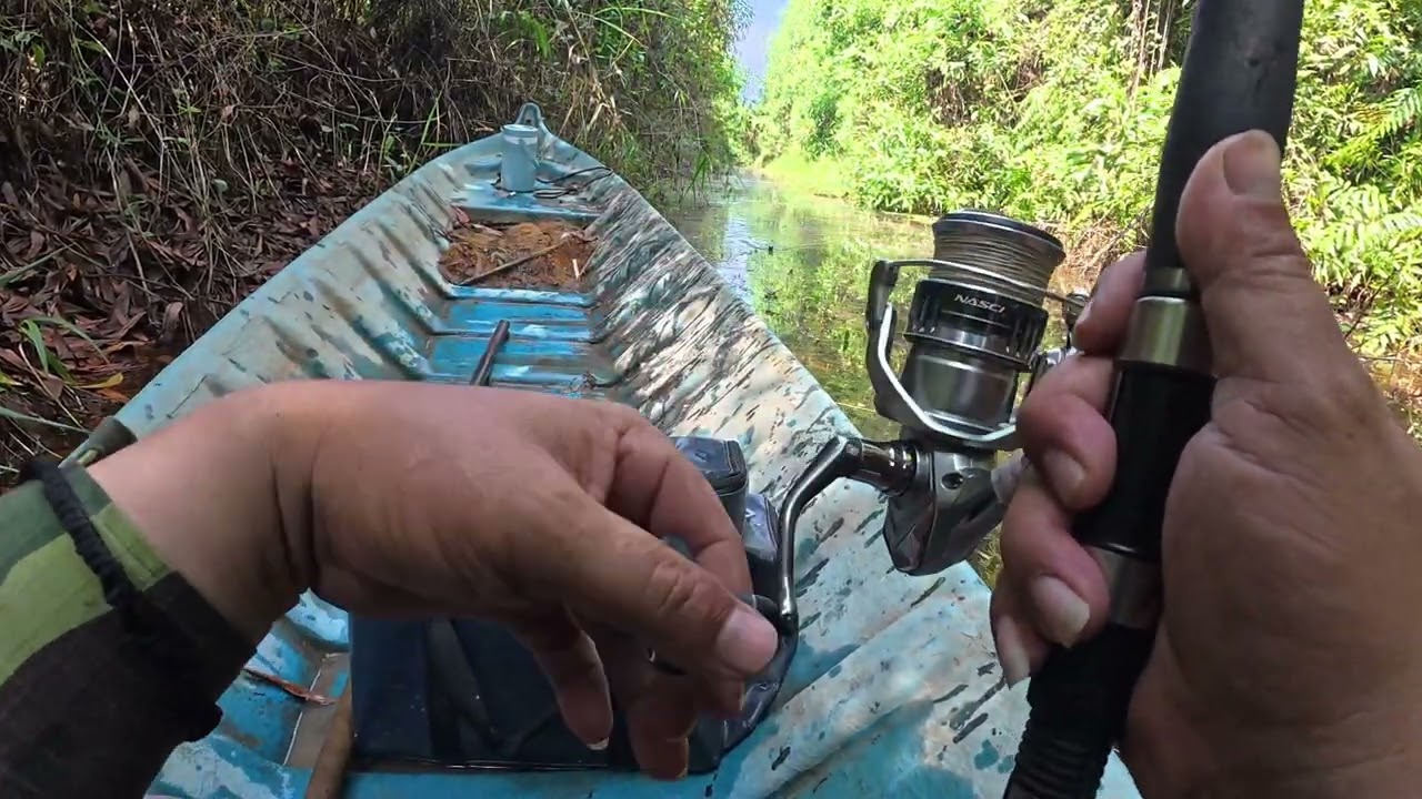 Câu cá cùng anh em ỡ rừng ,bắt dc lươn khủng và rắn đi tượng được ông anh tặng quá ngon miệng