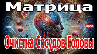 Матрица Гаряева Полная Очистка Сосудов Головы Квантовое Исцеление Сосудов Звуком