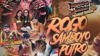 Jaranan ROGO SAMBOYO PUTRO Rampokan Celeng❗Live Tunggulrejo Prambon Nganjuk