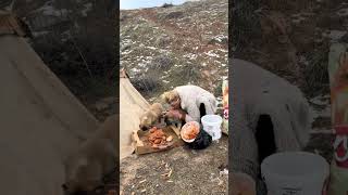 Sizler De Sokak Hayvanlarımıza Destek Olun.