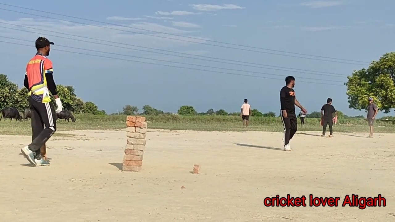 अलीगढ के सुपरस्टार शानू अलीगढ बनाम मथुरा के भीम के बीच हुआ स्कीम मैच #cricket #aligarh