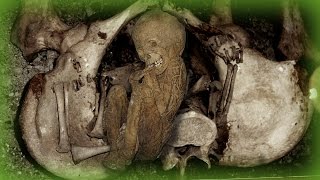 The Morbid Reality Of Coffin Births