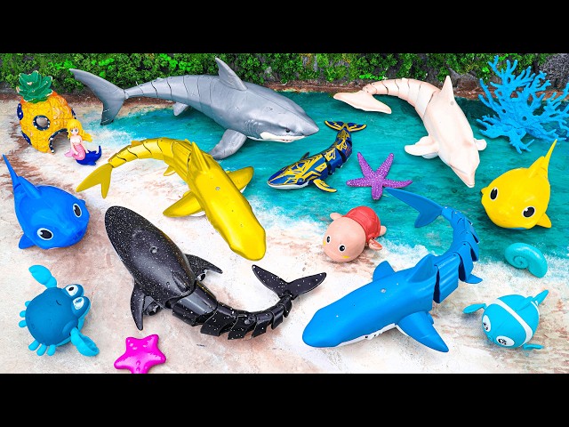 [toy asmr] ZURU Alive Huge Sea Animals Swimming | Review Toys ASMR