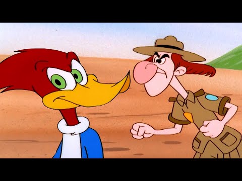 Meany Tenta Arruinar o Dia de Praia do Pica-Pau! | Pica-Pau em Português