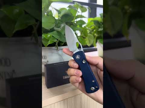 TRIVISA Andromeda-LM Button Liner Lock EDC Folding Knfe,2.3