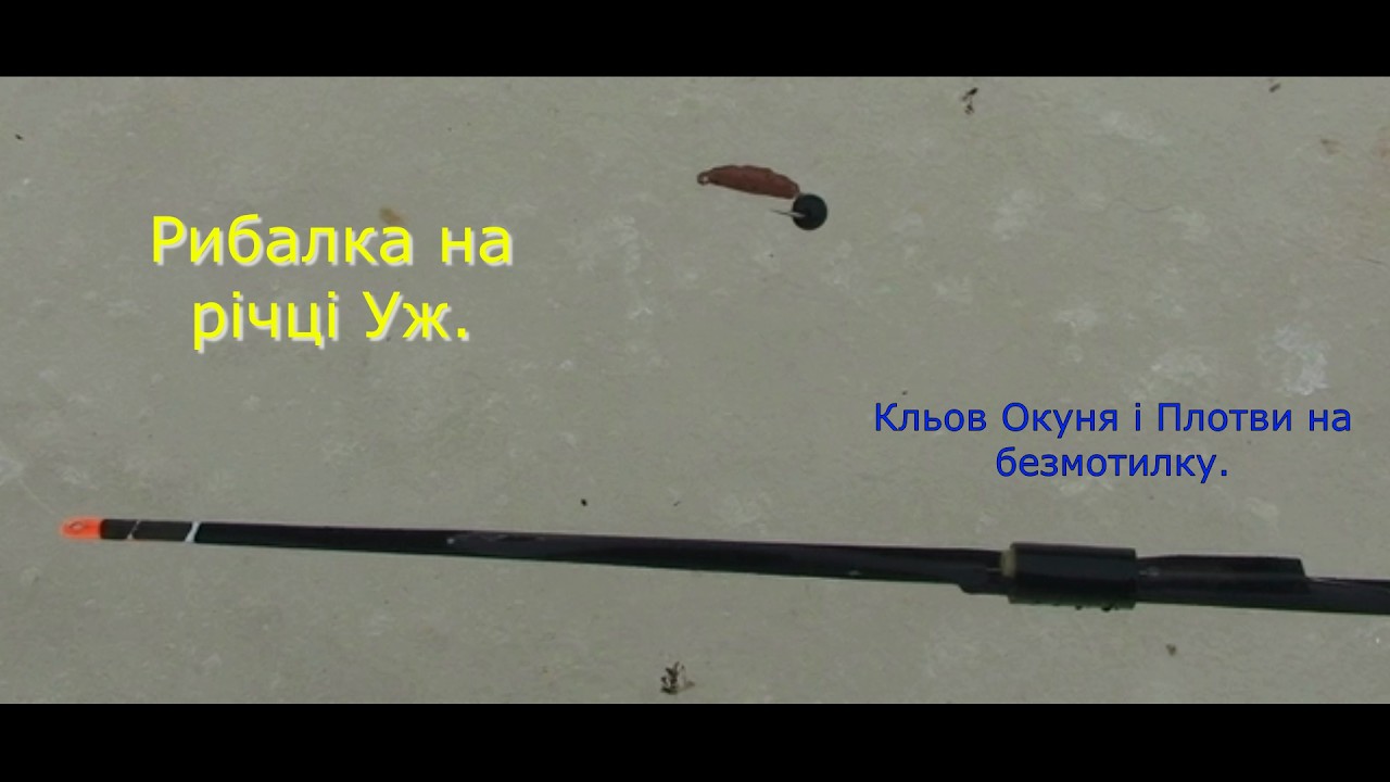 Зимова рибалка на річці Уж  Глухозимье позаду, ОКУНЬ ПЛОТВА просто в захваті від цієї БЕЗМОТИЛКИ.