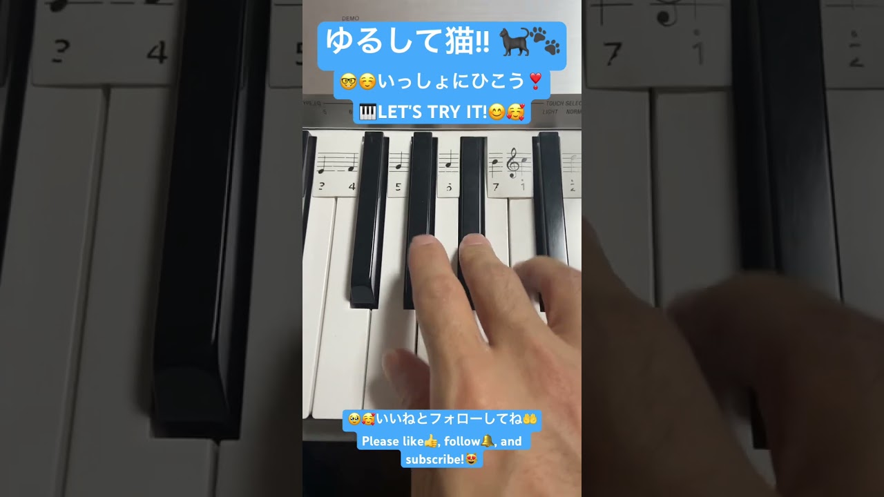Guarda #ゆるして猫 #iyan #D1KE #prod.k4nji #みんなで幸せになろう #tiktok #shorts #shortsdaily #shortsdance #ピアノ初心者 #ピアノ su YouTube Guarda #ゆるして猫 #iyan #D1KE #prod.k4nji #みんなで幸せになろう #tiktok #shorts #shortsdaily #shortsdance #ピアノ初心者 #ピアノ su YouTube