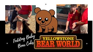 Bottle Feeding Bear Cubs Yellowstone Bear World