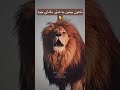 خەوبینین بە شێر مانای جیە سەردانی دیسکپرێشن بکەن ئەفسانە Afsana خەوبینین بە شێر مانای جیە سەردانی دیسکپرێشن بکەن ئەفسانە Afsana