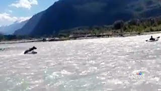 Bear charges at kayaker in river near Squamish, B.C.