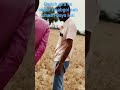 isabgol sab isabgol chadh Gaya Hai😂😂😂😂😂😂