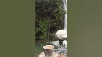 صوت يأخذك الى عالم اخر سبحان الله اجمل تلاوه