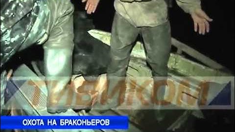 Охота на браконьеров