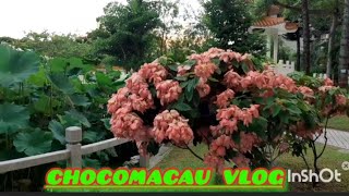 Wow A beautiful park of FLOWER CITY.. Wow A beautiful park of FLOWER CITY..