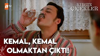 Kemal Alkol Alınca Sapıttı Kırgın Çiçekler