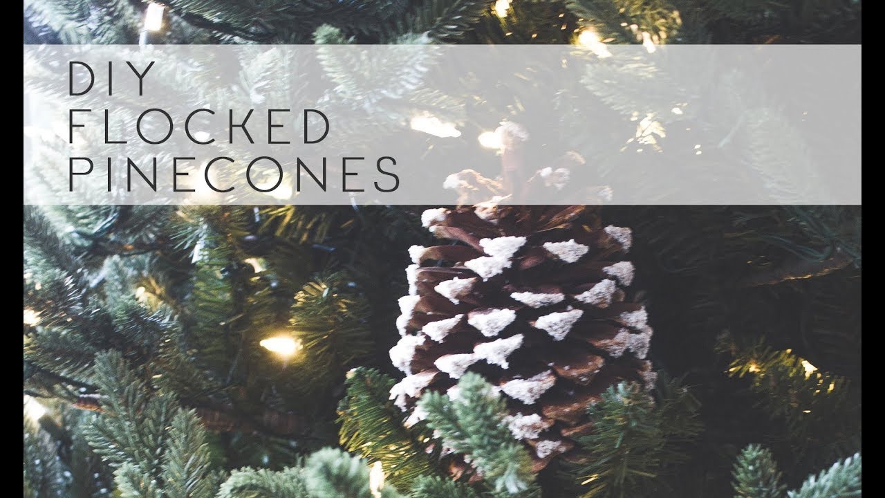 DIY Flocked Pinecones DIY Flocked Pinecones