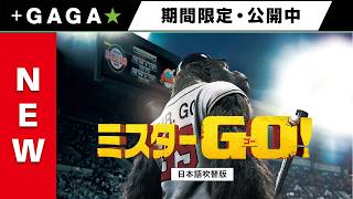 ＋GAGA｜【無料公開中】『ミスターGO！』（吹替版）