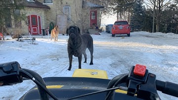 VTR - If we could buy time, every store would sell it  #oggoarmy #strangeclouds