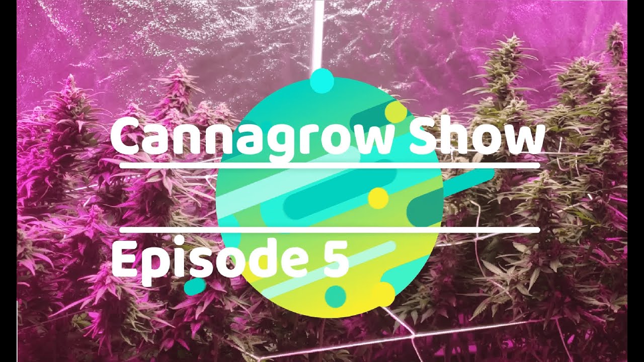 Cannagrow Show Episode 5! | End of Week 7 Flower| Zoom 30x | Does Cannabis Smell?