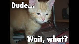 Eat Babies? - Suntanned Stepbrother