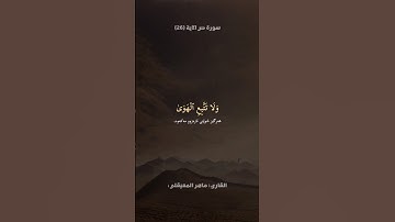تلاوة من سورة ص | القارئ ماهر المعيقلي 🎧🤍
