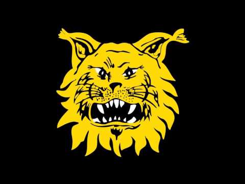 Ilveksen maalilaulu (jalkapallo)