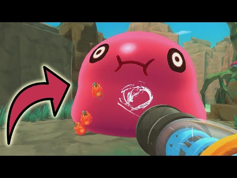 HELP HIJ GAAT ONTPLOFFEN !! | Slime Rancher #2