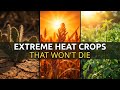 14 Crops That Won’t Die in Extreme Heat (Why Modern Farming Ignored Them￼)