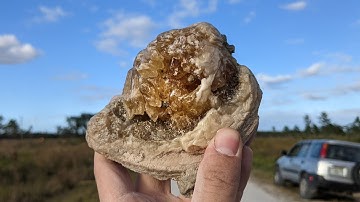 Only in Florida?! We Found Beautiful Calcite Crystals inside 2 Million Year Old Fossil Clams!