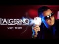 Lalgrino  quint flush son officiel