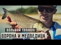 Большой Голавль. Ворона и Медведица.