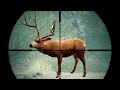 Hunting GIANT Desert Mule Deer in The Hunter Call Of The Wild