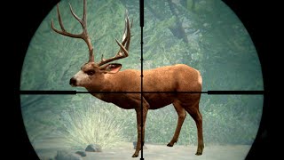 Hunting GIANT Desert Mule Deer in The Hunter Call Of The Wild screenshot 4