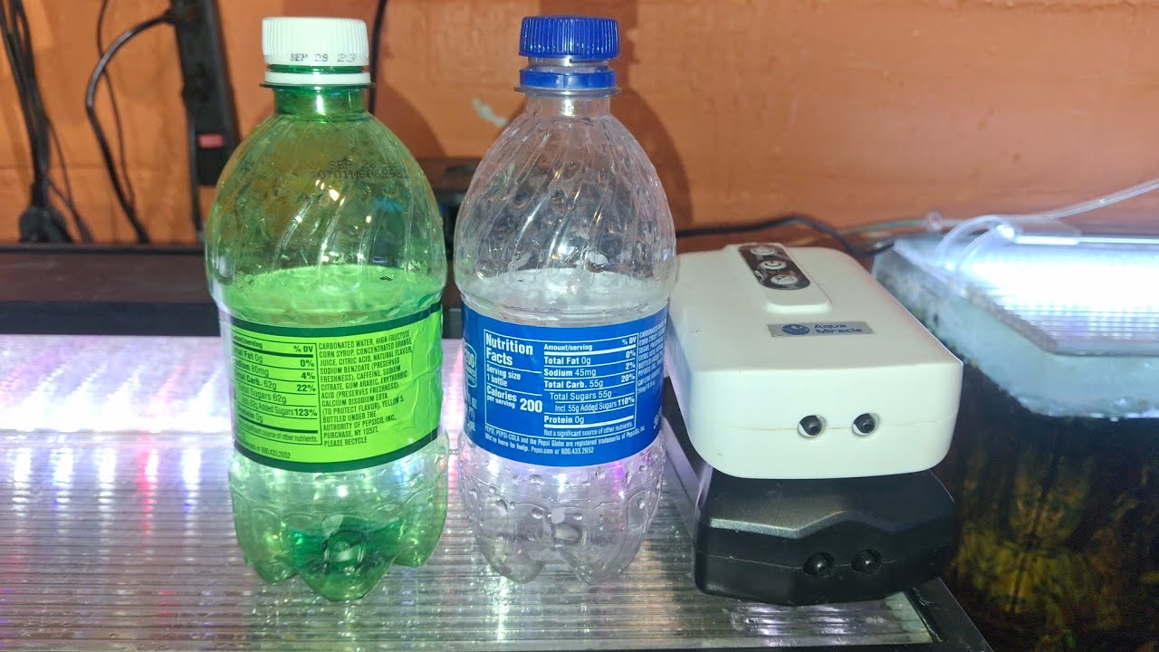 Несколько простых советов по уходу за аквариумом в экстренной ситуации.