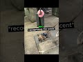 He Found His Missing Dog After 7 Years 🥹❤️🩹