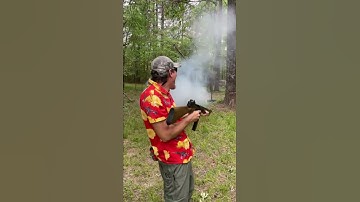 Firebird Target with a BB Gun? #shorts