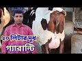 যারা ২০ লিটার দুধের গাভী খুজছেন তাদের জন্য আজকের এই গাভীটি Rishad Dairy Farm