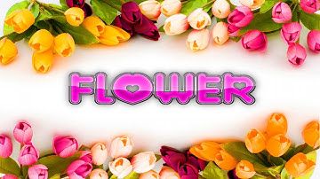 Names of flowers in English | Tên gọi các loài Hoa trong Tiếng Anh