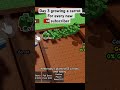Day 3 of growing a carrot for every new subscriber #growagarden #growagardenroblox #roblox