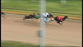 WGL THU 23 AUG 18 R12