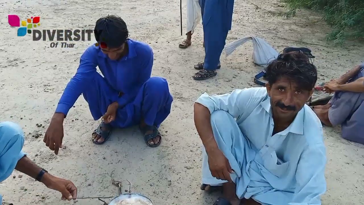 Camel man are making camel milk tea || Tharparkar camel herd || Diversity of thar