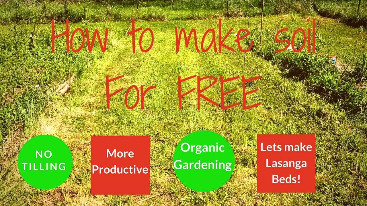 How to make rich garden soil for FREE! - YouTube