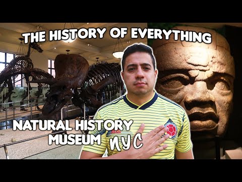 Video: Pernottamenti all'American Museum of Natural History