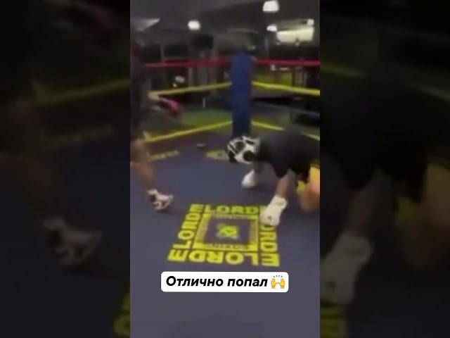 Хороший удар  #бокс #boxing #top #актуально